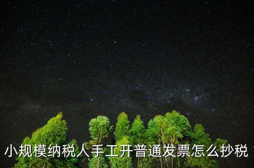 小規(guī)模納稅人開票系統(tǒng)如何抄報稅，小規(guī)模稅款控盤如何抄報稅