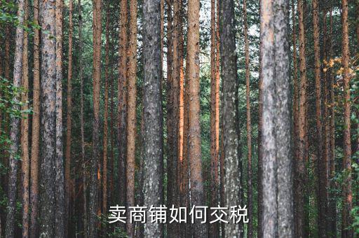 商鋪如何交稅，賣(mài)商鋪如何交稅
