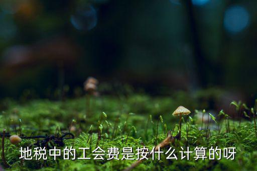 交地稅時的工會經費如何計算方法，地稅中的工會費是按什么計算的呀
