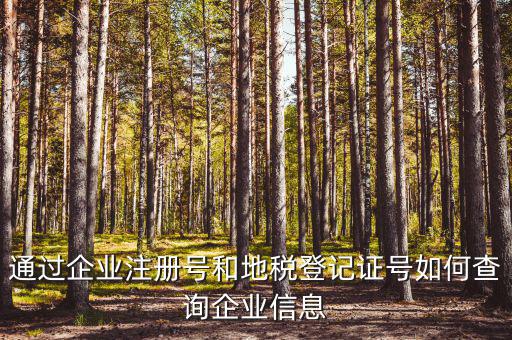 企業(yè)稅務信息如何查詢，通過企業(yè)注冊號和地稅登記證號如何查詢企業(yè)信息