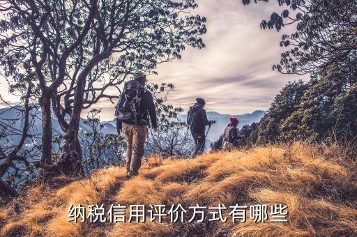 國稅信用等級如何評價，納稅信用評價方式有哪些