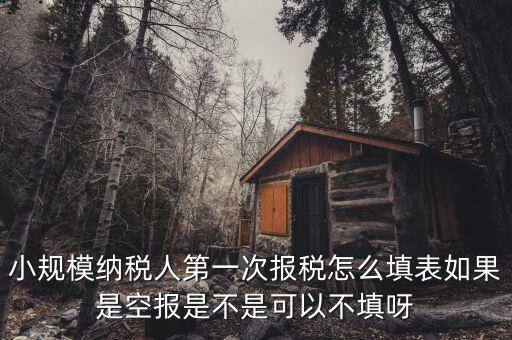 如何填寫首次辦稅補充信息表，稅務(wù)登記補充信息采集表怎么填 誰知道啊