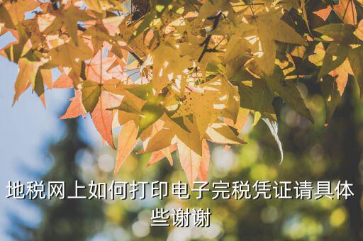 電子完稅憑證如何打印，地稅網(wǎng)上如何打印電子完稅憑證請(qǐng)具體些謝謝