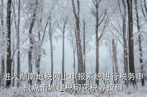 湖南省地稅局個(gè)人如何注冊(cè)，湖南地稅網(wǎng)上申報(bào)系統(tǒng)