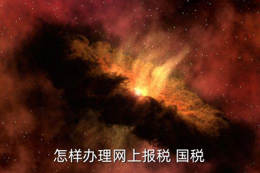 怎樣辦理網(wǎng)上報(bào)稅 國稅