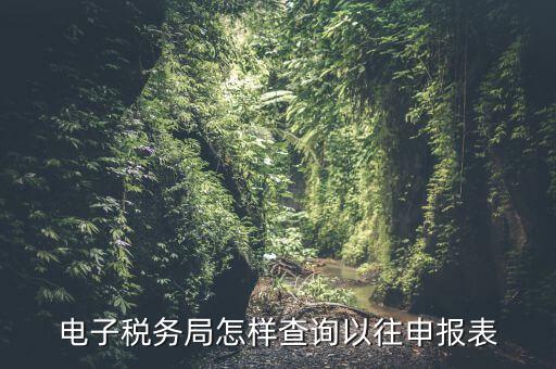 寧波地稅如何查往期申報信息，怎樣查看地稅網(wǎng)上申報記錄