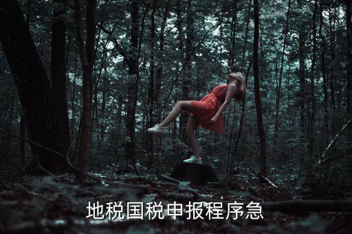國稅地稅如何辦理流程，我想知道申報國稅地稅的流程包括前期需要什么資料期間如何