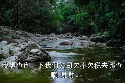 如何查詢企業(yè)欠稅信息，稅務(wù)欠稅信息如何查詢