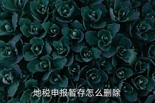 地稅的附加稅如何刪除申報(bào)記錄，地稅報(bào)表報(bào)錯(cuò)怎樣刪除