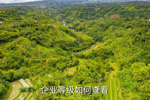 如何查企業(yè)信譽等級，怎么查企業(yè)信用