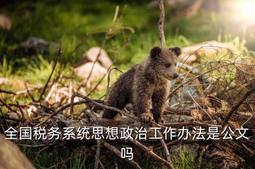 稅務部門如何思想政治工作，在稅務工作中應該樹立什么樣的精神