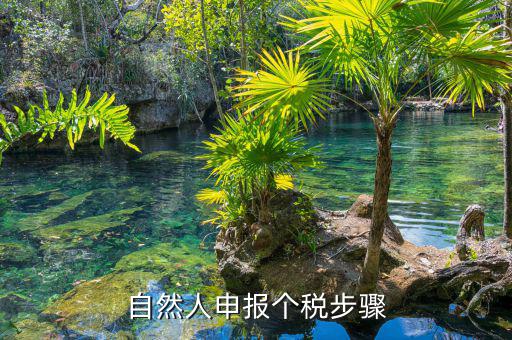 如何使用自然人納稅系統(tǒng)，新辦企業(yè)怎樣登錄自然人電子稅務局扣繳端