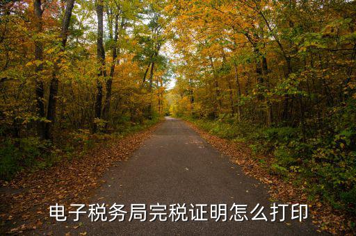 福建省網(wǎng)上稅務局如何打印，電子稅務局完稅證明怎么打印