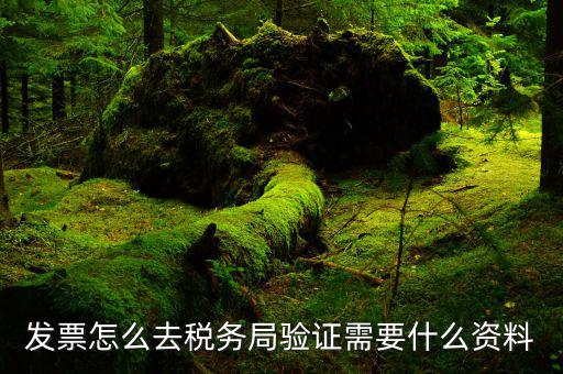 如何檢驗(yàn)發(fā)票，發(fā)票怎么去稅務(wù)局驗(yàn)證需要什么資料