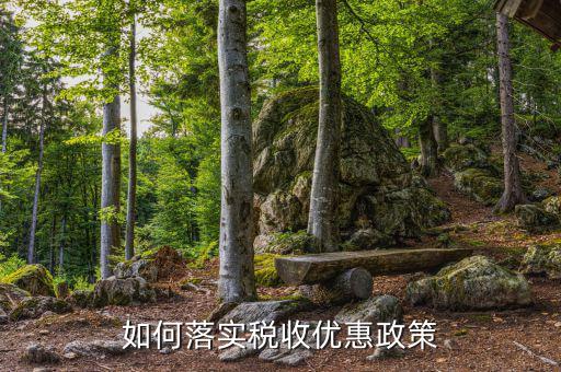 地稅部門如何落實(shí)稅收優(yōu)惠政策，免稅政策如何落實(shí)