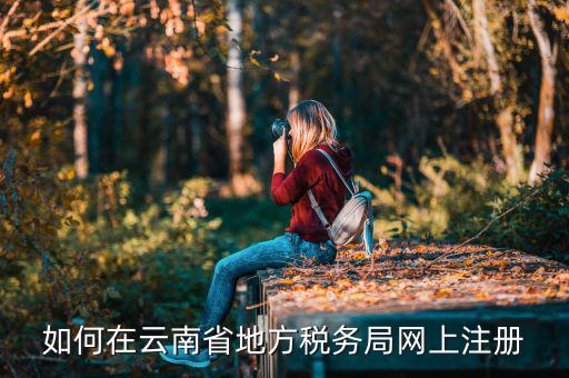 如何進入云南稅務系統(tǒng)上報稅，如何在云南省地方稅務局網(wǎng)上注冊