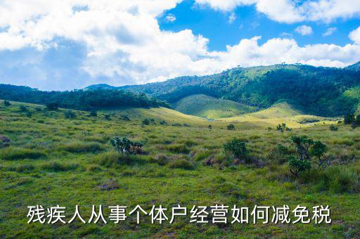 個稅申報 殘疾人如何減免，殘疾人從事個體戶經(jīng)營如何減免稅