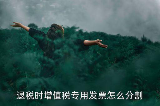 申報退稅如何分批，同一個退稅申報期內(nèi)可以申報2個批次嗎