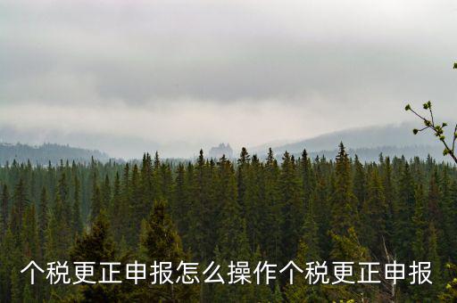 福建個人所得稅如何申報更正，個稅申報錯了如何更正