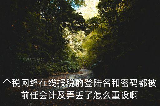 個(gè)稅網(wǎng)絡(luò)在線報(bào)稅的登陸名和密碼都被前任會計(jì)及弄丟了怎么重設(shè)啊