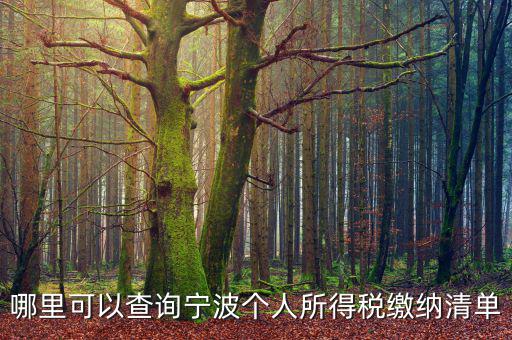 寧波個(gè)人納稅如何查詢，哪里可以查詢寧波個(gè)人所得稅繳納清單