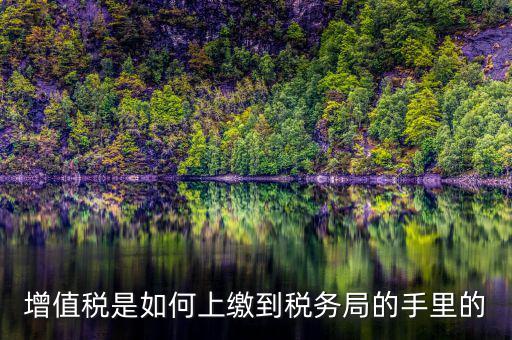如何在稅務(wù)大廳納稅繳納稅款，在稅務(wù)大廳怎么繳納已申報(bào)稅款