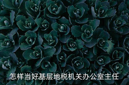 稅務部門如何抓好主體責任，如何做好稅收法規(guī)工作