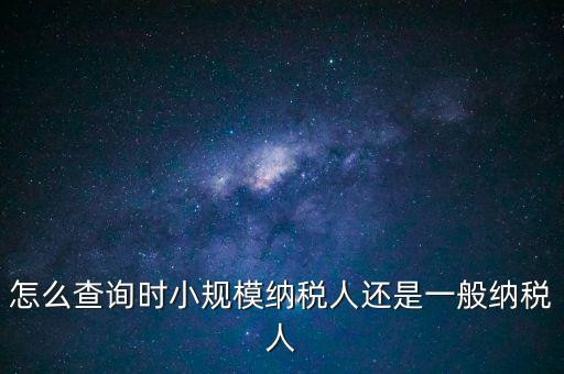 電子稅務(wù)局如何查看正常戶，怎么查詢時(shí)小規(guī)模納稅人還是一般納稅人