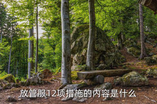 在放管服中如何加強(qiáng)審計(jì)稽察，放管服12項(xiàng)措施的內(nèi)容是什么