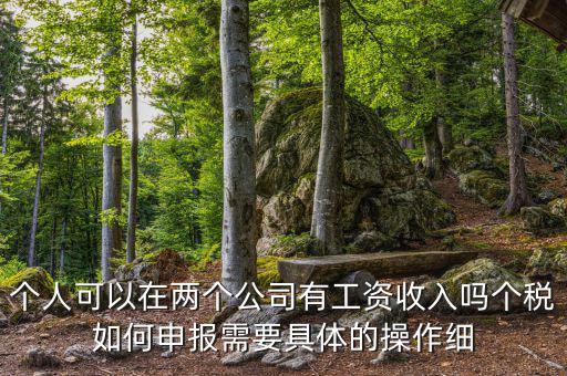 個稅如何申報多個企業(yè)所得稅，怎樣在一臺電腦上實現(xiàn)給多個企業(yè)申報個人所得稅