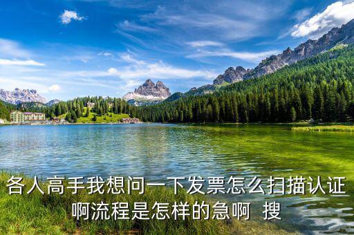 如何掃描認證發(fā)票，各人高手我想問一下發(fā)票怎么掃描認證啊流程是怎樣的急啊  搜