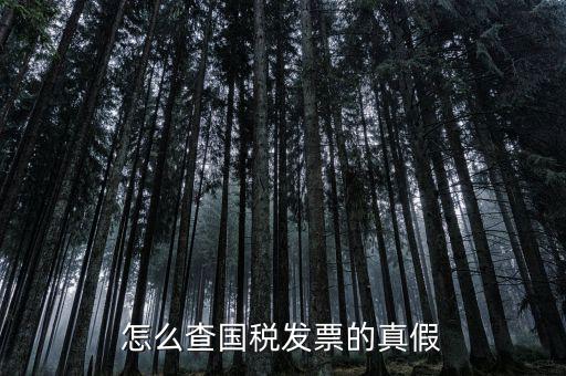 國稅如何驗(yàn)證發(fā)票，增值稅發(fā)票網(wǎng)上怎么認(rèn)證