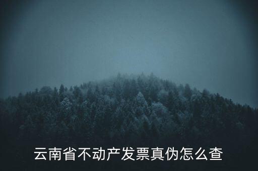 不動(dòng)產(chǎn)統(tǒng)一發(fā)票如何查詢真?zhèn)?，銷售不動(dòng)產(chǎn)統(tǒng)一發(fā)票真假怎么辨別