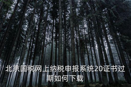 北京國(guó)稅網(wǎng)站如何更新，如何在國(guó)稅網(wǎng)上更新公司的信息