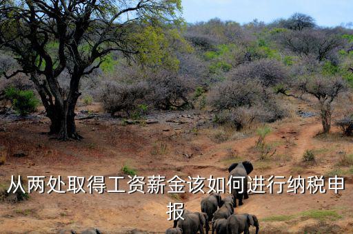 多出取得工資 如何申報(bào)個(gè)稅，個(gè)人多處取得所得如何申報(bào)繳納個(gè)稅