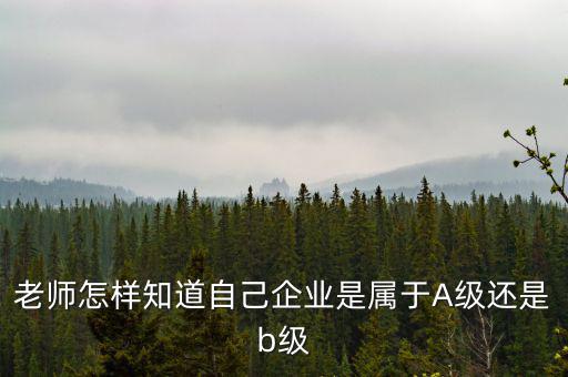 企業(yè)級(jí)別如何查，企業(yè)資質(zhì)等級(jí)怎樣查