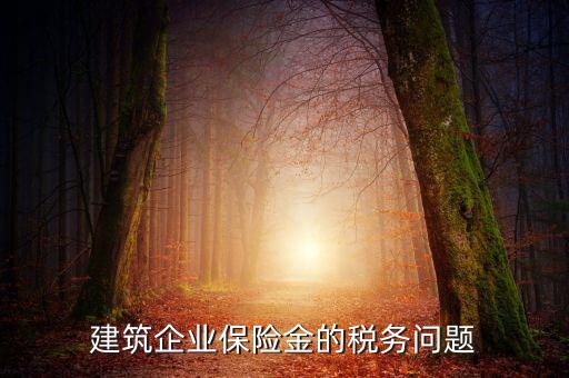 保險(xiǎn)公司稅務(wù)管理如何處理，建筑企業(yè)保險(xiǎn)金的稅務(wù)問題