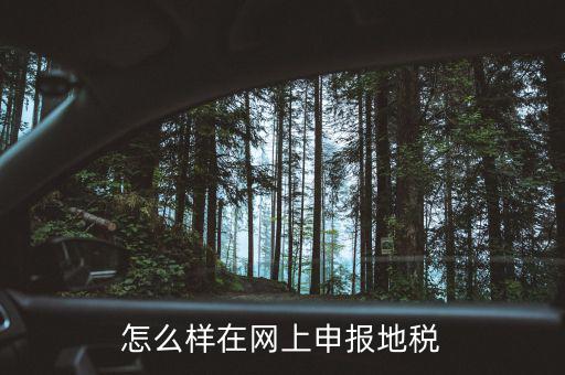 地稅網(wǎng)站如何注冊(cè)，地稅網(wǎng)上申報(bào)注冊(cè)怎么操作