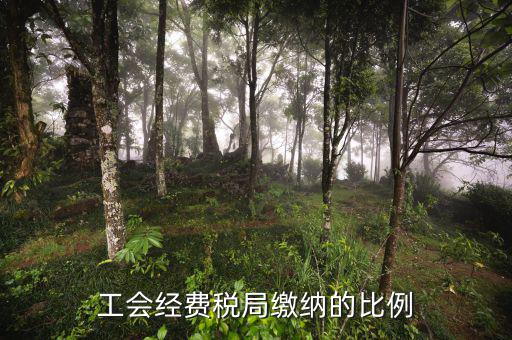 稅局代收的工會經費應如何交納，稅務局代收的工會經費怎么交