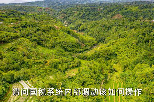 請(qǐng)問國稅系統(tǒng)內(nèi)部調(diào)動(dòng)該如何操作