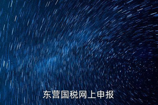 東營國稅如何網(wǎng)上申報，東營國稅網(wǎng)上申報