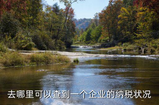 如何查詢企業(yè)納稅，去哪里可以查到一個企業(yè)的納稅狀況