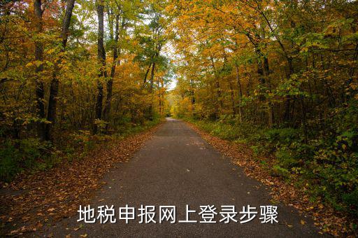 廣西國(guó)稅地稅如何網(wǎng)上申報(bào)，稅務(wù)申報(bào)如何網(wǎng)上申報(bào)