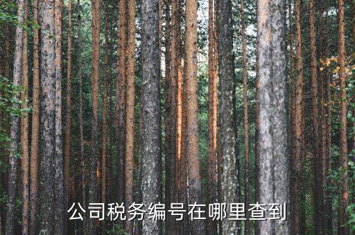 如何查遼寧省國稅局納稅識別號，跪求 在哪點能查詢到納稅人識別號