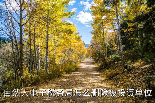 電子稅務(wù)局如何刪除不管的企業(yè)，電子稅務(wù)局網(wǎng)頁怎么清除企業(yè)稅號記錄