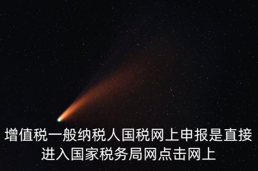 增值稅一般納稅人國稅網(wǎng)上申報是直接進入國家稅務局網(wǎng)點擊網(wǎng)上