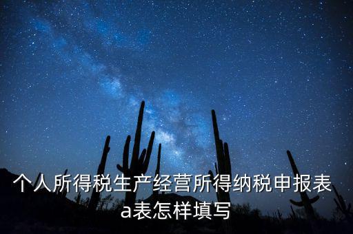 個(gè)人經(jīng)營(yíng)所得申報(bào)表a表如何填，個(gè)人所得稅經(jīng)營(yíng)所得稅申報(bào)表a表怎么填