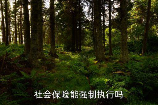 社會(huì)保險(xiǎn)費(fèi)如何執(zhí)行，社會(huì)保險(xiǎn)能強(qiáng)制執(zhí)行嗎