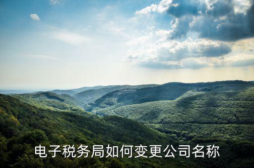 國稅系統(tǒng)如何更改公司，自然人電子稅務(wù)局怎么更換企業(yè)