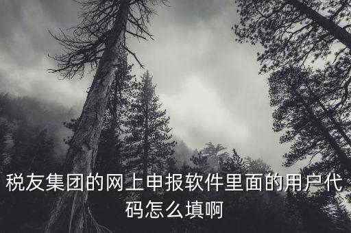 稅友軟件如何申報，稅友通是如何報稅的